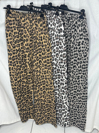 Musselinhose leo