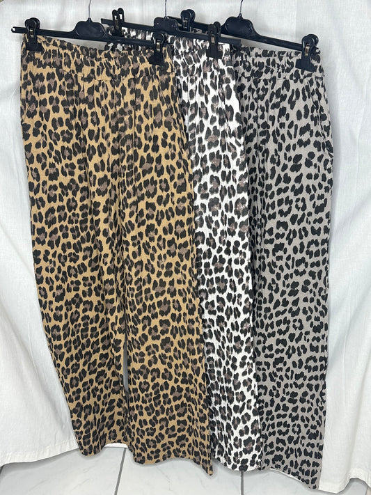 Musselinhose leo